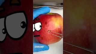 Goodland | Apple surgery #goodland #shorts #doodles #doodlesart