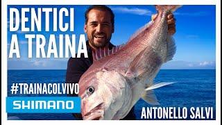 DENTICI A TRAINA COL VIVO CON ANTONELLO SALVI