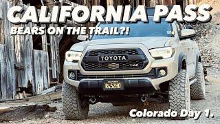 California Pass & Mineral Creek Trail Overlanding in Telluride & Ouray - Toyota Tacoma TRD Offroad