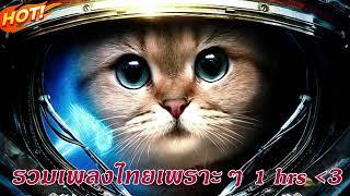 [ playlist ] รวมเพลงไทยเพลงรัก รวมเพลงไทยเพราะๆ ฟังยาวๆ1ชั่วโมง