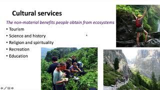 Ecosystem services