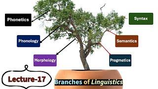 (Lecture-17), Branches of Linguistics, Phonetics, Phonology, Morphology, Syntax, Semantics etc.