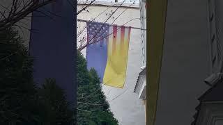 THE BEST FLAG IN THE WORLD!