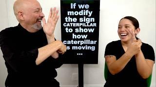 ASL Classifiers:  CL-1 (Depictive Signing)