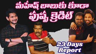 Pushpa Credit Goes to Mahesh Babu Too! | Pushpa 2 23 days collection report | Allu Arjun | Mr.B