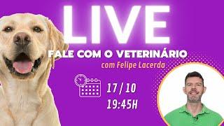 127 | FALE COM O VETERINÁRIO - Live gratuita para você perguntar tudo sobre seu cachorro ou gato!