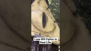 I saw Bill Cipher in Real Life (Gravity falls) #forest  #disneytvseries #gravityfalls