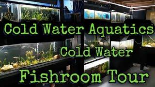 Fish Room Tour March 2021 Cold Water Aquatics