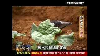 20131027 TVBS 一步一腳印 發現新台灣   歸鄉農夫有機菜