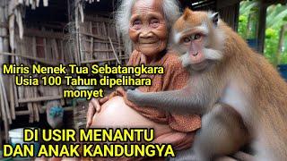 Kisah Haru Nenek PUKIYEM Diusia Tua Berjuang Hidup bersama Se ekor Monyet yg Setia‼️