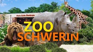 Zoo Schwerin | Zoo Eindruck