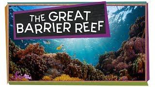 Check Out the Great Barrier Reef!