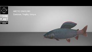 Fishing Planet - Selenge River - Unique - Arctic Grayling - Lure (Selenge Hunt: Mouse Lure)