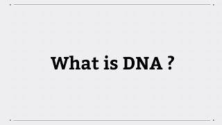 What is DNA?