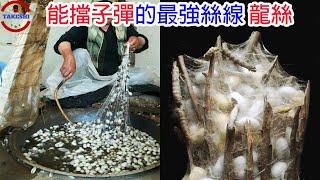 [生物放大鏡] 抵擋子彈隔絕箭矢的神奇絲線"龍絲" | 擋住子彈的人類皮膚 | 最強絲線