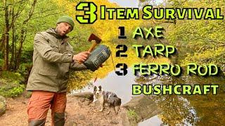 3 ITEM SURVIVAL - Bushcraft Solo Woodland Wild Camp in the RAIN Gransfors Bruks Axe DD Tarp Fire UK