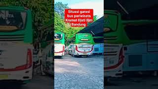 bus pariwisata #short