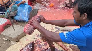 Amazing Bighead Fish Cutting Skills Live In Fish Market | Fish Cutting Skills