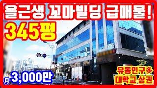 月3000만 꼬마빌딩 급매물 대지면적 345평 대학교 상권