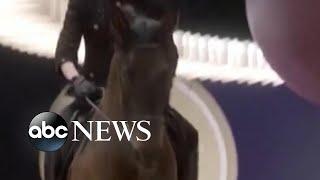 Horse struts on runway at Chanel’s Paris Haute Couture show