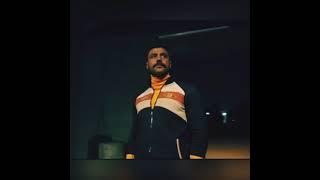 محمد امام - النمر