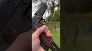 Plinking with a Sig 1911-22 pistol [POV Shooting]