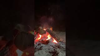 Вечер на Припяти #рыбалка #беларусь #fishing #припять #костёр
