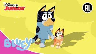 ‍ Het Curry Avontuur! | Bluey | Disney Junior BE