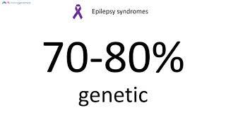 Undiagnosed disorders DNA testing (epilepsy focus) | Merogenomics