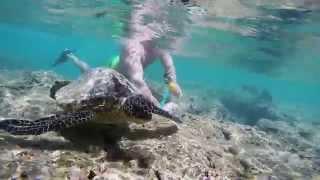 GoPro: Snorkeling at Hanauma Bay 1080p [HD]