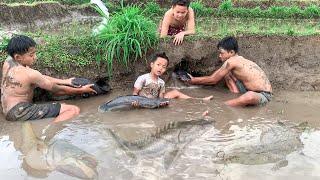 Dapet 3 Ikan Lele Besar Besar Banget Di Lubang Lumpur Yang Ada di Sawah