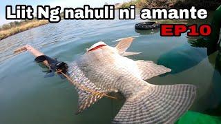 Pamamana Ng isda Malaking Tilapya Ang nahuli ni Amante