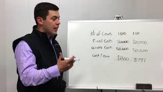 Whiteboard Chat: Cow Herd Profitability