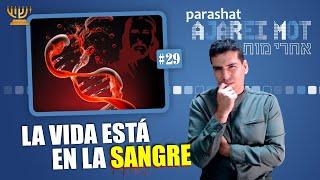  Cómo es que LA VIDA ESTÁ EN LA SANGR3​​ 🩸​ ?​​│ Parashat AJAREI MOT