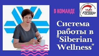 СИБИРСКОЕ ЗДОРОВЬЕ БИЗНЕС. Как заработать в Siberian Wellness. Команда МЛМ Форсаж