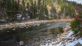 If I had to choose one stream in Idaho to fish, THIS IS IT!