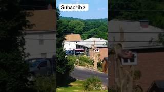  hit by a tree #sad #sadstory #trending #viral #viralvideo #shocking #shorts #shortvideo #edit