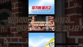 어젯밤 모기에 물렸는데 열이 나요