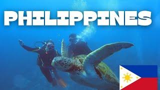 Best Scuba Diving in The World - Moalboal Philippines