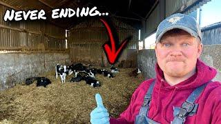 IT JUST NEVER ENDS... WE NEED A NEW CALF SHED... BAD!