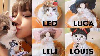 Lisa and the L family | Blackpink Pets