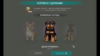 LAST DAY ON EARTH SURVIVAL 1.24.1 взлом на новый топ кейс с щенками , ! ОБНОВЛЕНИЕ СКРИПТА !!!!