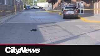 TTC riders shaken after Jane Station murder