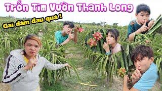 Thử Thách Trốn Tìm Trong Vườn Thanh Long Đầy Gai Và Nắng [ Trang And Vinh TV ]