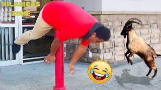 Funny & Hilarious People Life  #75 | TRY NOT TO LAUGH  | Instant Regret Fails Compilation 2024