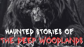 Haunted Stories of the Deep Woodlands #horrorstories #scarystorys #sleepstory