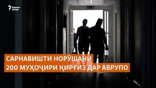 Сарнавишти норӯшани 200 муҳоҷири қирғиз дар Аврупо