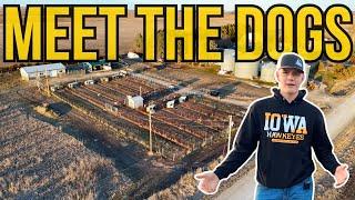 Getting to know the BEST HUNTING DOGS In The Midwest!!!! (SHOWING YOU THE FARM)