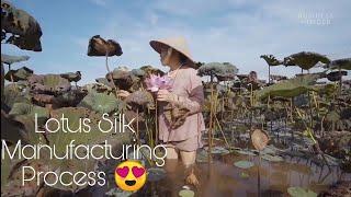 Lotus Silk Manufacturing  | #silk #lotus #flowers #manufacturing