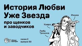 История Любви Уже Звезда. Про щенков и заводчиков